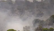 Korkutan yangın raporu yayınlandı