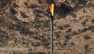 Bakan Bayraktar'dan Irak-Türkiye petrol boru hattı hakkında güncel açıklamalar