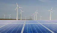Yenilenebilir enerji 2024'te küresel elektrik üretiminin yüzde 31,7'sini oluşturdu