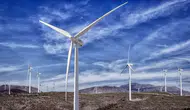 Dünyayı kurtaran 480 milyar dolarlık kalkan: Yenilenebilir enerjide tarihi rekor