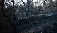 İskiri Adası'nda binlerce dönüm yeşil alan kül oldu!