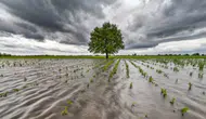 El Nino etkisiyle küresel ekonomide maliyet artışları bekleniyor