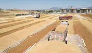 TMO, buğday satışlarına TÜRİB üzerinden başlıyor