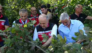 Ordu'da fındık hasadı coşkuyla başladı