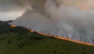 Belçika'daki dev orman yangınına çok uluslu müdahale