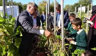 Karabük'te ata tohumu ile organik tarım devrimi: Tarladan sofraya doğrudan ulaşım