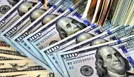 Dolar/TL, 49,00 seviyesinde işlem görüyor