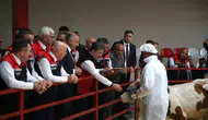 Hayvancılıkta aşı ve küpe ücretleri tamamen kaldırıldı