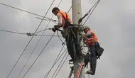 Birecik-Halep hattında elektrik ticareti için başvuru süreci başladı