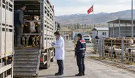 Canlı hayvan nakil yönetmeliğinde önemli değişiklikler yapıldı