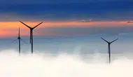 Almanya'da yenilenebilir enerji üretimi tarihi zirveye ulaştı