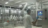 İçme sütlerinde doğal aroma zorunluluğu geldi