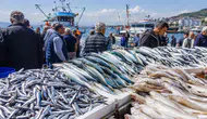 Karadeniz'in balık bereketi tezgahlara yansıyor