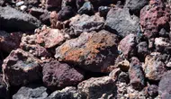 ABD ve Litvanya kritik mineraller için anlaşma imzaladı