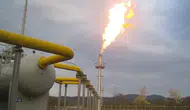 Spot doğal gaz piyasasında fiyatlar ve işlem hacmi belirlendi