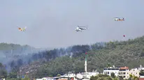 Muğla'da açık alan yangınlarında ihmalin payı yüzde 70’i aştı