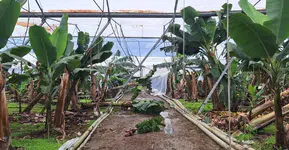 TARSİM’e 10 ayda 478 bin hasar ihbarı yağdı