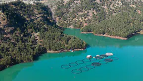 Kahramanmaraş’tan ihracat hamlesi: Somon ve Alabalık dünyaya açılıyor!
