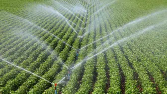 Tarımda Su Yönetimi İçin Yeni Dönem: Merkezi Sistem Kuruluyor!
