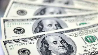 Serbest Piyasada Döviz Kurları Açıklandı!