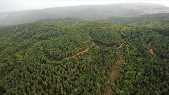 'Ormanlar ve Ekonomi' Panelinde Sürdürülebilir Kalkınma Vurgusu!