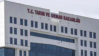 Ordu’da Hayvancılık Yatırımı: 1600 Küçükbaş Alımı İçin İhale Açıldı!