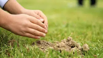 Konya’da Orman Haftası Kapsamında 10 Bin Fidan Dikildi!