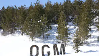 Erciyes’te Dev Ağaçlandırma: 7 Milyon Fidan Toprakla Buluştu!