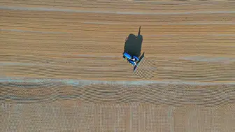 Toprağın röntgeni çekiliyor: Kritik tarım alanları Cumhurbaşkanı kararıyla korunacak!