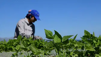 Gıda ve çevre konulu uluslararası projelere destek sağlanacak!