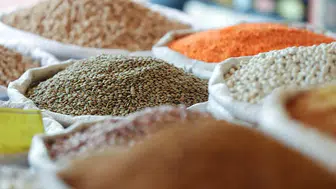 Türkiye’nin gıda ihracatında Orta Doğu liderliğini koruyor