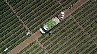 Tarımsal girdi maliyetlerinde şubat ayı tablosu netleşti: Yıllık artış yüzde 31,55!