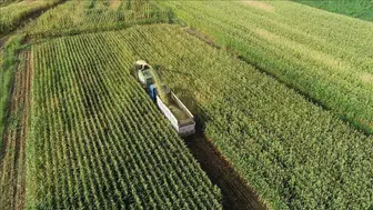 Tarım arazilerinin kullanımı ve korunmasına ilişkin yeni yönetmelik yürürlüğe girdi!