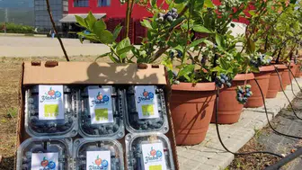 DCT Trading’den tarımda teknolojik dönüşüm: 1,5 milyon Euro'luk stratejik yatırım!