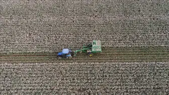 Orta Doğu gerilimi küresel tarım ve gübre piyasalarını sarstı: Maliyetler hızla yükseliyor!