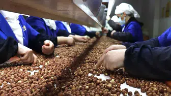 Giresun'da İhracatın Yarısından Fazlası Kadın Eliyle: İşte 81 İlin Kadın Emeği Karnesi!