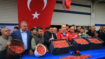 Altınla yarışan kiraz: Manisa'da ilk hasadın kilosu dudak uçuklattı!