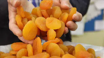 “Kayısı krizi fırsata dönüştü: Malatya’dan rekor ilk çeyrek geliri