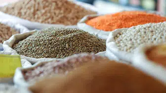 Bakan Yumaklı hububat ödemelerinin başladığını duyurdu