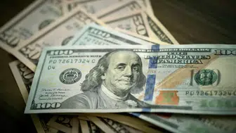Merkez Bankası'ndan döviz kurları güncellemesi