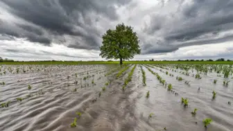 El Nino etkisiyle küresel ekonomide maliyet artışları bekleniyor