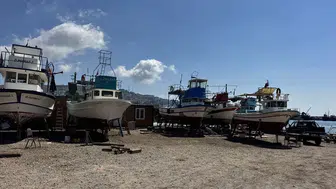 Yeni balıkçılık sezonu için umut dolu mesaj: Bereketli bir av dönemi bekleniyor