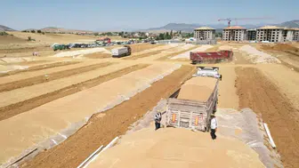 TMO, buğday satışlarına TÜRİB üzerinden başlıyor