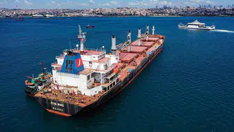 Karadeniz'deki tahıl terminalinin onarımı dört ay sürebilir