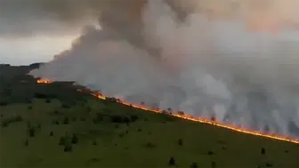 Belçika'daki dev orman yangınına çok uluslu müdahale