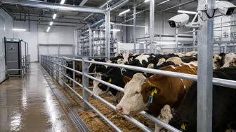 Kars'ta hayvancılıkta devrim: Elektronik küpe izleme sistemi tanıtıldı