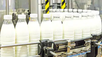 Üretim fazlası için yeni stratejiler: Katma değerli ürünlere yönelme zamanı