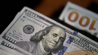 Merkez Bankası'nın döviz kurları güncellendi: İşte son rakamlar