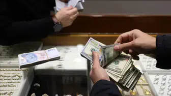 TCMB'nin döviz kurlarında son durum: Alım satıma konu olmayan dövizler