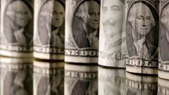 TCMB tarafından belirlenen döviz kurları açıklandı